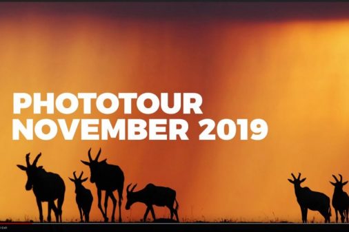 Afrika Fotoreise Kenia, Masai Mara im vom 12.11. bis zum 23.11.2019