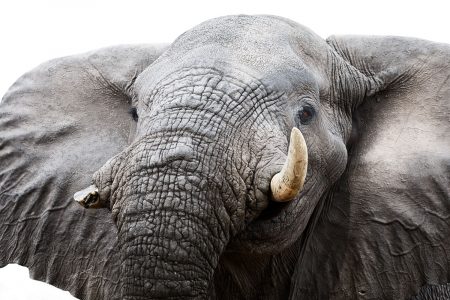 Fotoreisen Afrika - Botswana