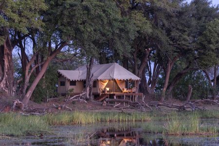 Fotoreise African Wildlife: Duba Explorers Camp - Botswana