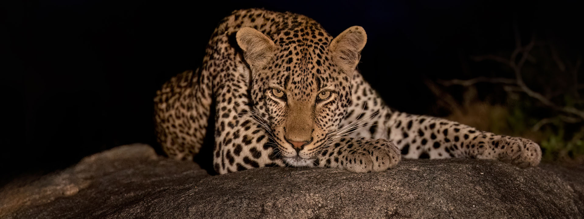 Mala Mala in Sabi Sands – Südafrika vom 13.11. bis zum 23.11.2027